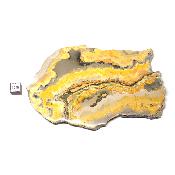 Jaspe Abeille Plaque 2285