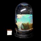 Opale d'Ethiopie Pierre Brute 2288