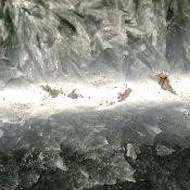 Seraphinite Plaque 2358