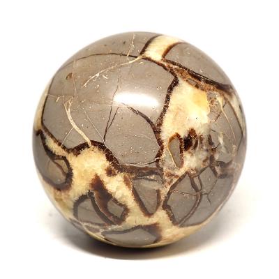 Septaria Boule - Num�rot�s