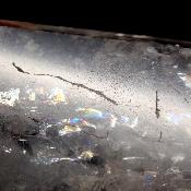 Cristal Vogel Plat 3029