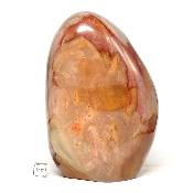 Jaspe Polychrome Forme Libre 0068