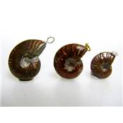 Ammonite Opalisée Rouge Pendentif Pierre Roulée