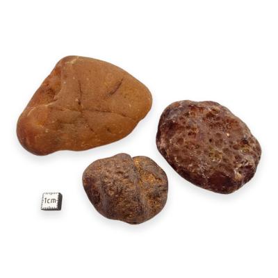 Cornaline Pierre Brute