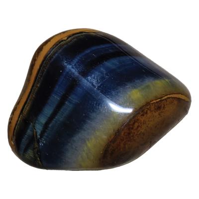 Oeil de Faucon