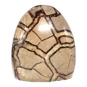 Septaria Forme Libre 05109