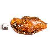 Ambre de la Baltique morceau poli n° 05951