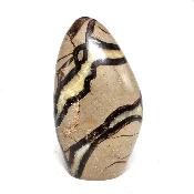 Septaria Forme Libre 08362