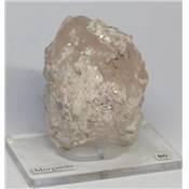 Morganite Pierre Brute 11656