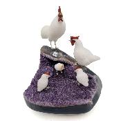Famille de poules 14296