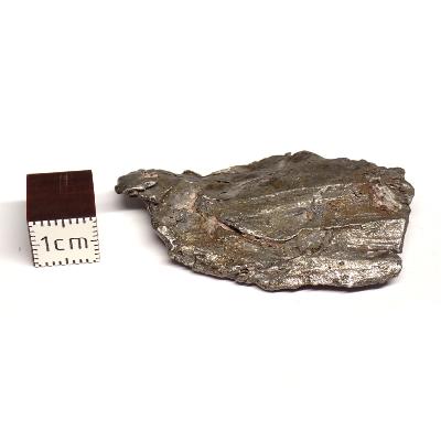Météorite Sidérite Sikhote-Alin 15166