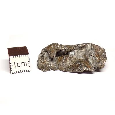 Météorite Sidérite Sikhote-Alin 15172