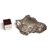 Météorite Sidérite Sikhote-Alin 15176