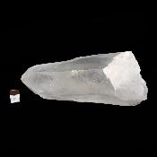 Cristal Lémurien 15461