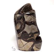 Septaria Forme Libre 15701