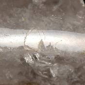 Cristal de Roche Pointe Polie 15875