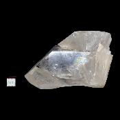 Cristal Lémurien 2022