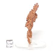Cuivre Natif pierre brute 2580