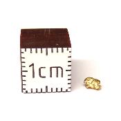 Pépite d'Or 2657