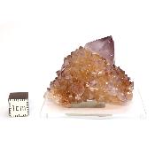 Cristal Cactus Brute 2734