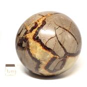 Septaria Boule 2828