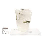 Tourmaline Verte sur gangue pierre brute 2969
