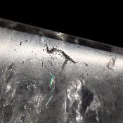 Cristal Vogel Plat 3031