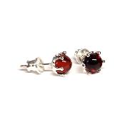 Ambre de la Baltique Boucles d'Oreilles Argent choix n°3