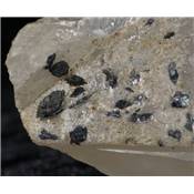 Cristal Hématite de Mongolie 07963