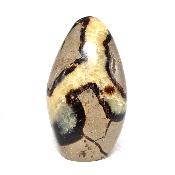 Septaria Forme Libre 08369