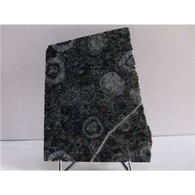 Diorite Orbiculaire Plaque 09491