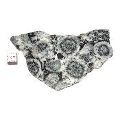 Diorite Orbiculaire Plaque 0117
