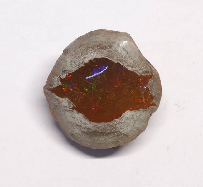 Opale De Feu Brute Multicolore Naturelle - 26,705 Carats, Dimensions 20,60x18,71mm - Sans Traitement