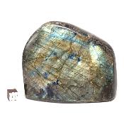 Labradorite Forme Libre 15360