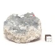 Célestine Pierre brute 15728