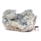 Célestine Pierre brute 15730