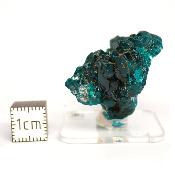 Dioptase Pierre Brute 15781