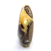 Septaria Forme Libre 20000