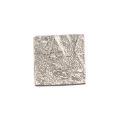 Météorite de Muonionalusta - plaque 2004