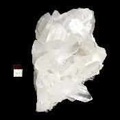 Cristal de Roche Amas 2095