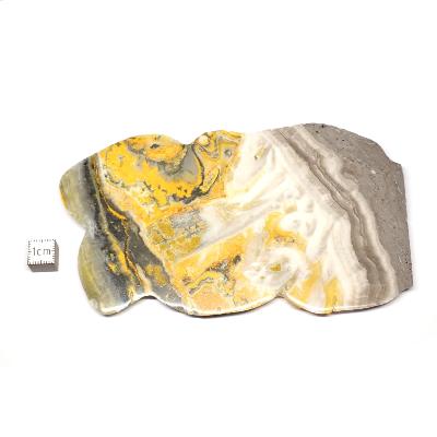 Jaspe Abeille Plaque 2278