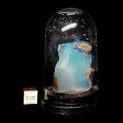 Opale d'Ethiopie Pierre Brute 2288