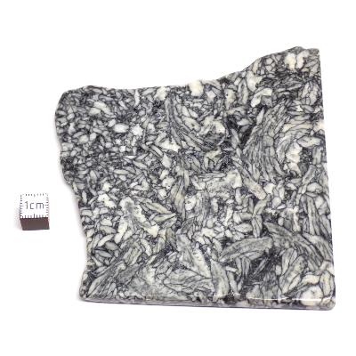 Pinolite Plaque 2336