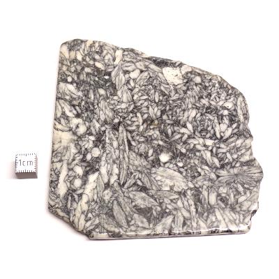 Pinolite Plaque 2340