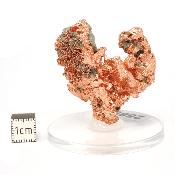 Cuivre Natif pierre brute 2589