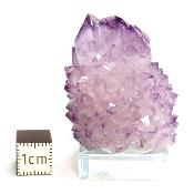 Cristal Cactus Brute 2724