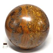 Oeil de Fer Boule 2794