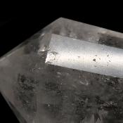 Cristal Vogel 3036