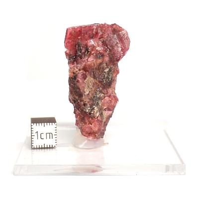 Pyroxmangite Pierre brute n° 05134