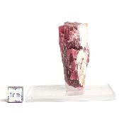 Pyroxmangite Pierre brute n° 05142